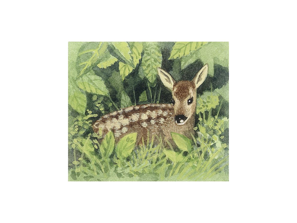 COPPENRATH calendrier mural 70003 animal en hiver (4050003700038)