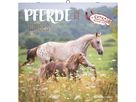 ALPHA EDITION Bildkalender 2026 160303 Pferde ML 30x30cm (4069095003033)