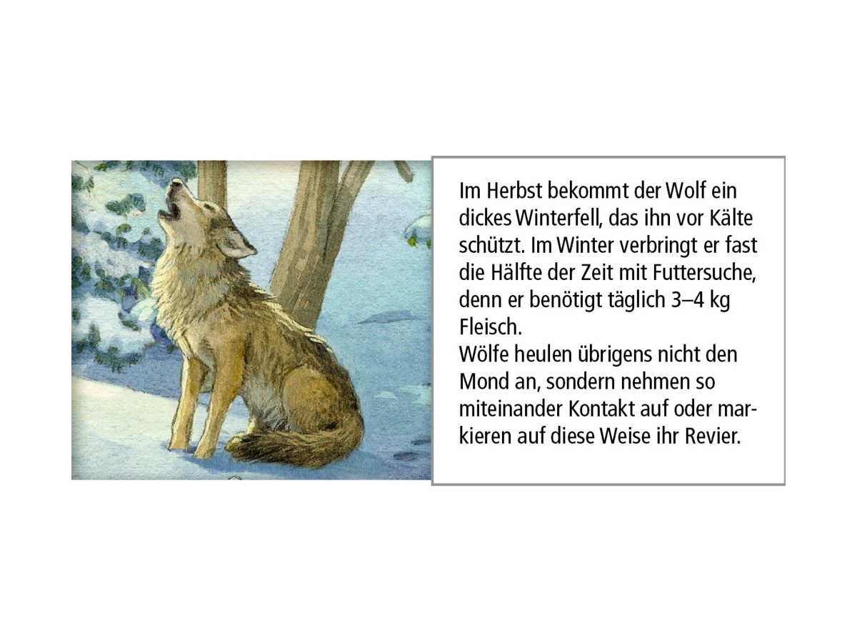 COPPENRATH Adventskalender 52x38cm 72257 Hört ihr die Tiere im Wald (4050003722573)