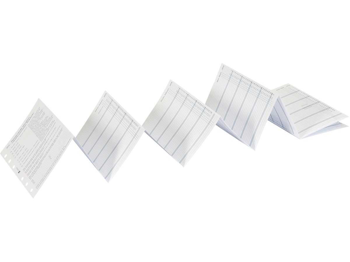 SUCCES Agenda Senior planif.ann. 2026 845159000026 6M/1P rainurés 9.5x15cm (8717481250078)