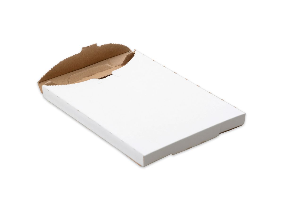 ELCO carton d'expédition B5 817520249 blanc 25 pièces (7611722022459)