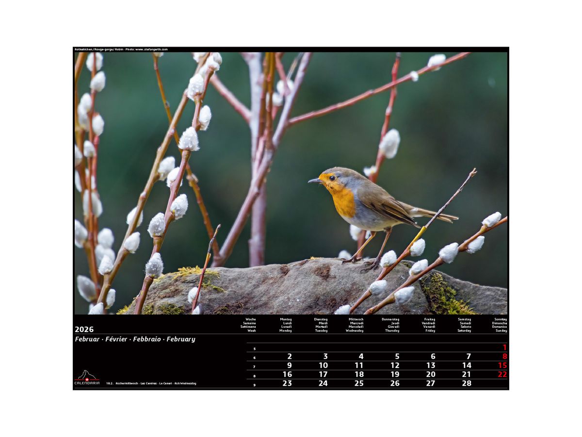 CALENDARIA Bildkalender 2026 9783036205472 Swiss Animals 40x31cm (9783036205472)