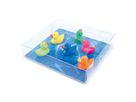 TRENDFORM Magnete DUCK FW3526 6er Set assortiert (7640145464447)