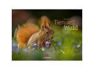 ACKERMANN Bildkalender 2026 2682 Tierwelt Wald D 45x33cm (9783838426822)