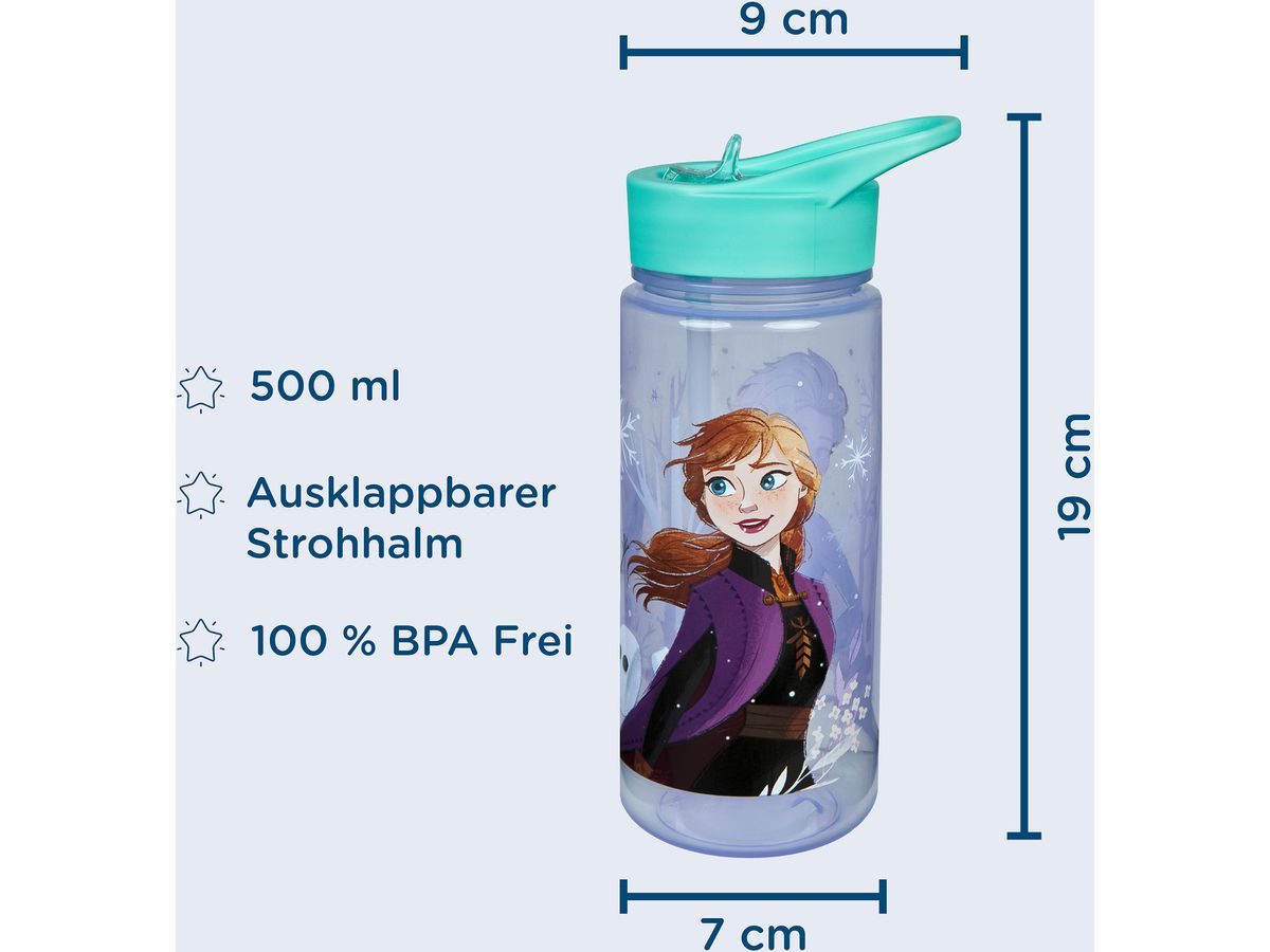 SCOOLI Trinkflasche Aero 500ml FRVX9913? Frozen (4043946312499)