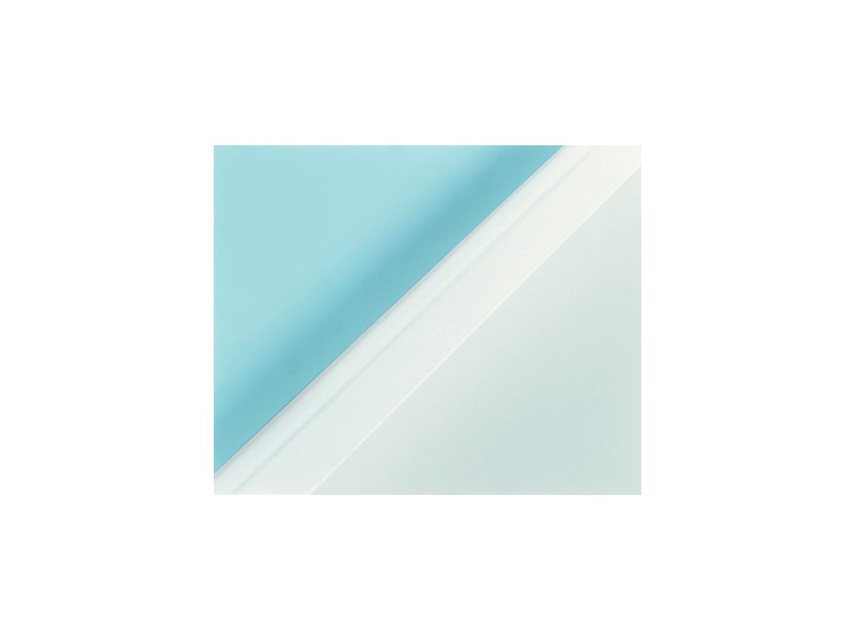 LEITZ Cartelline termiche A4 177160 bianco, 4mm 100 pezzi (5411313177160)