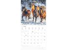 ALPHA EDITION Bildkalender 2026 160303 Pferde ML 30x30cm (4069095003033)