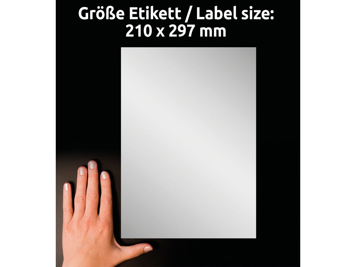 AVERY ZWECKFORM Typenschild-Labels 210x297mm L6013-20 silber,Laser 20 St./20 Blatt (4004182060131)