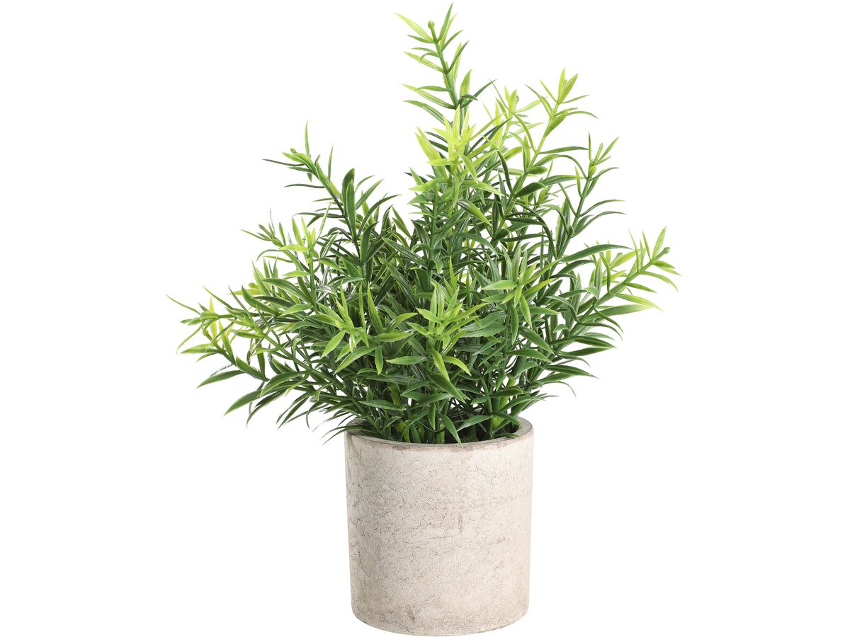 EGLO Pianta artificiale 22cm 428029 verde, in vaso (9008606253470)