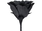 EGLO Fleur artificielle MOLAVE 428131 noir (9008606279036)