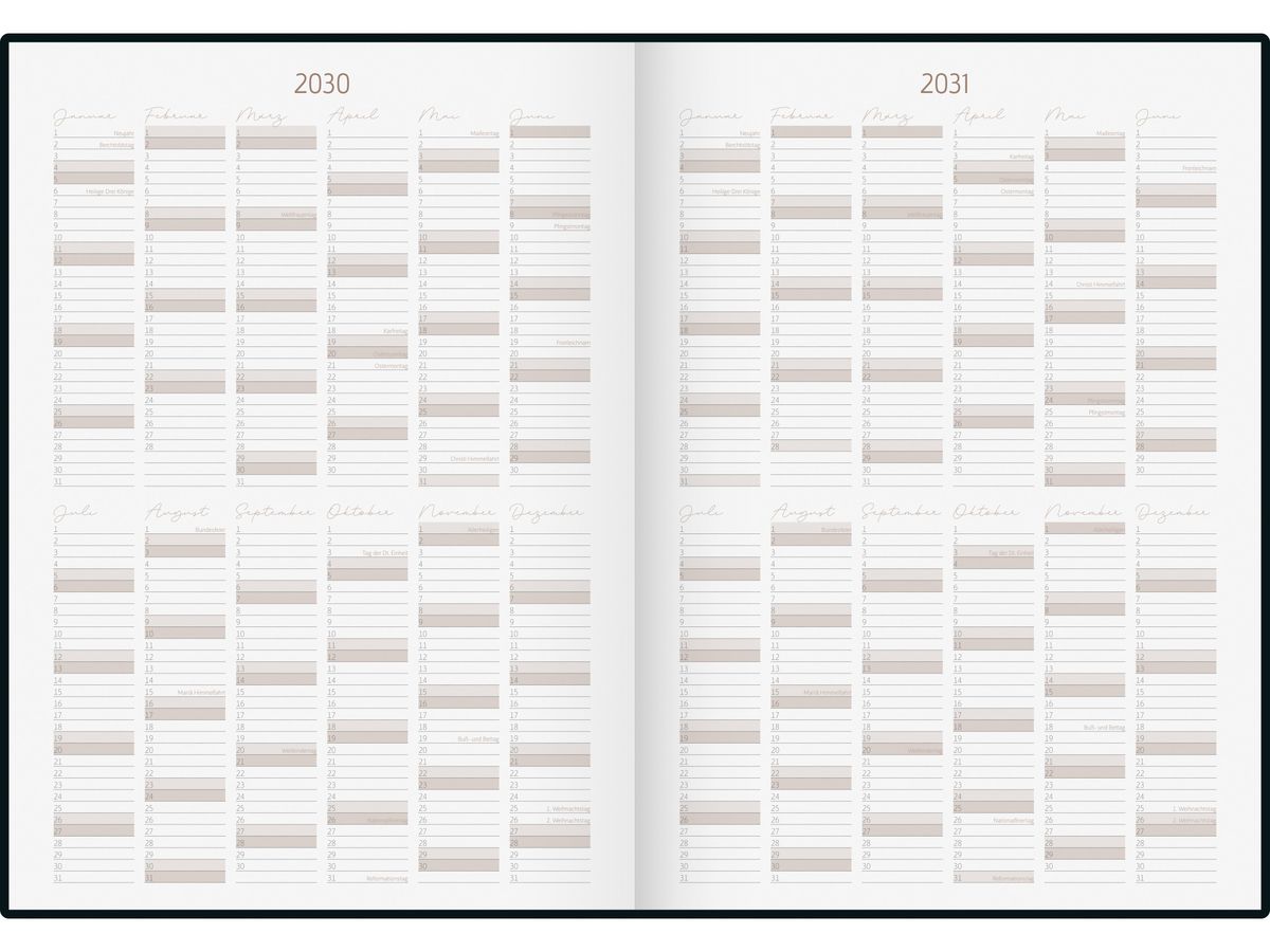 RIDOIDE Agenda décennal 2026-2035 7022404016.26 1J/1P gris AL 21x29.1cm (4003273790575)