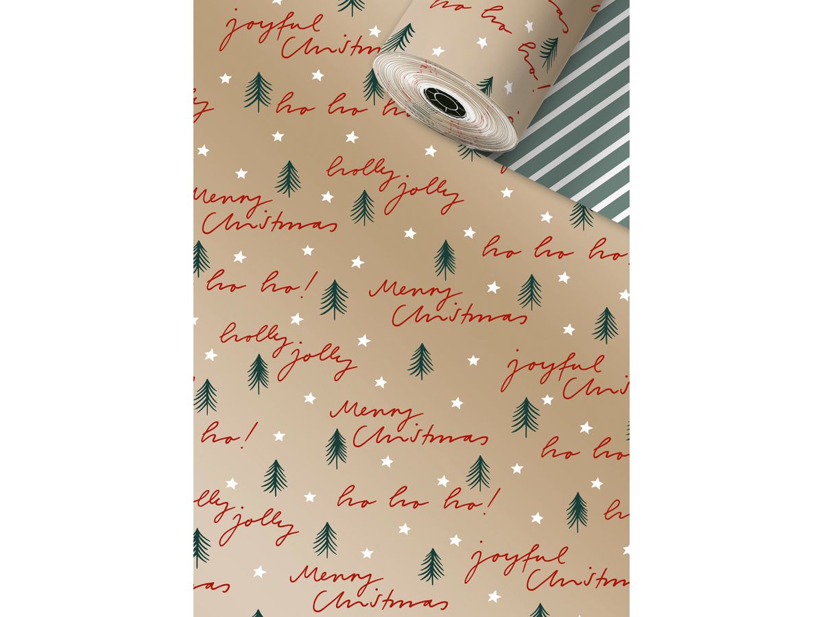 STEWO Appareil rouleaux de papier 2522526480 Morgan 0.5x250m (7630050877951)