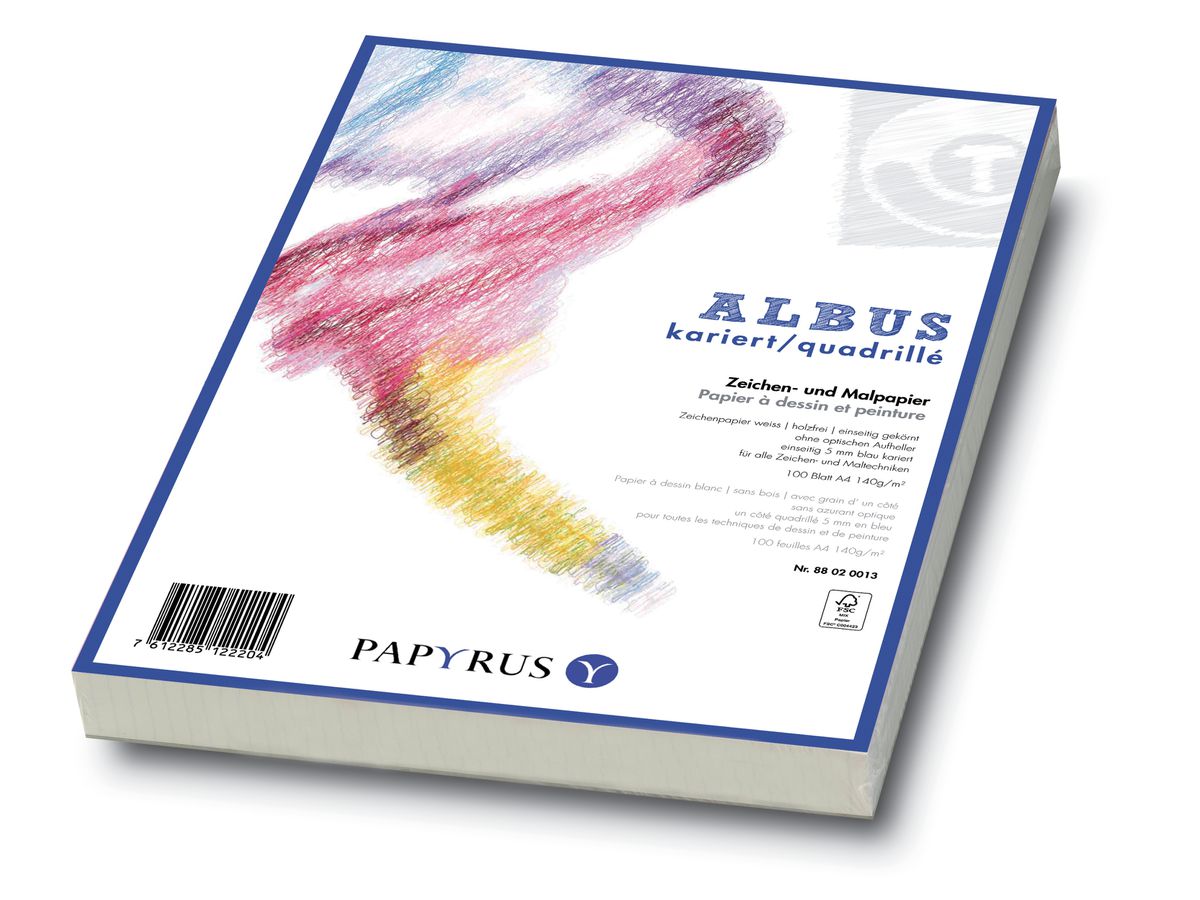 PAPYRUS Zeichenpapier A2 88248958 160g, kariert 5mm 100 Blatt (7612285127131)