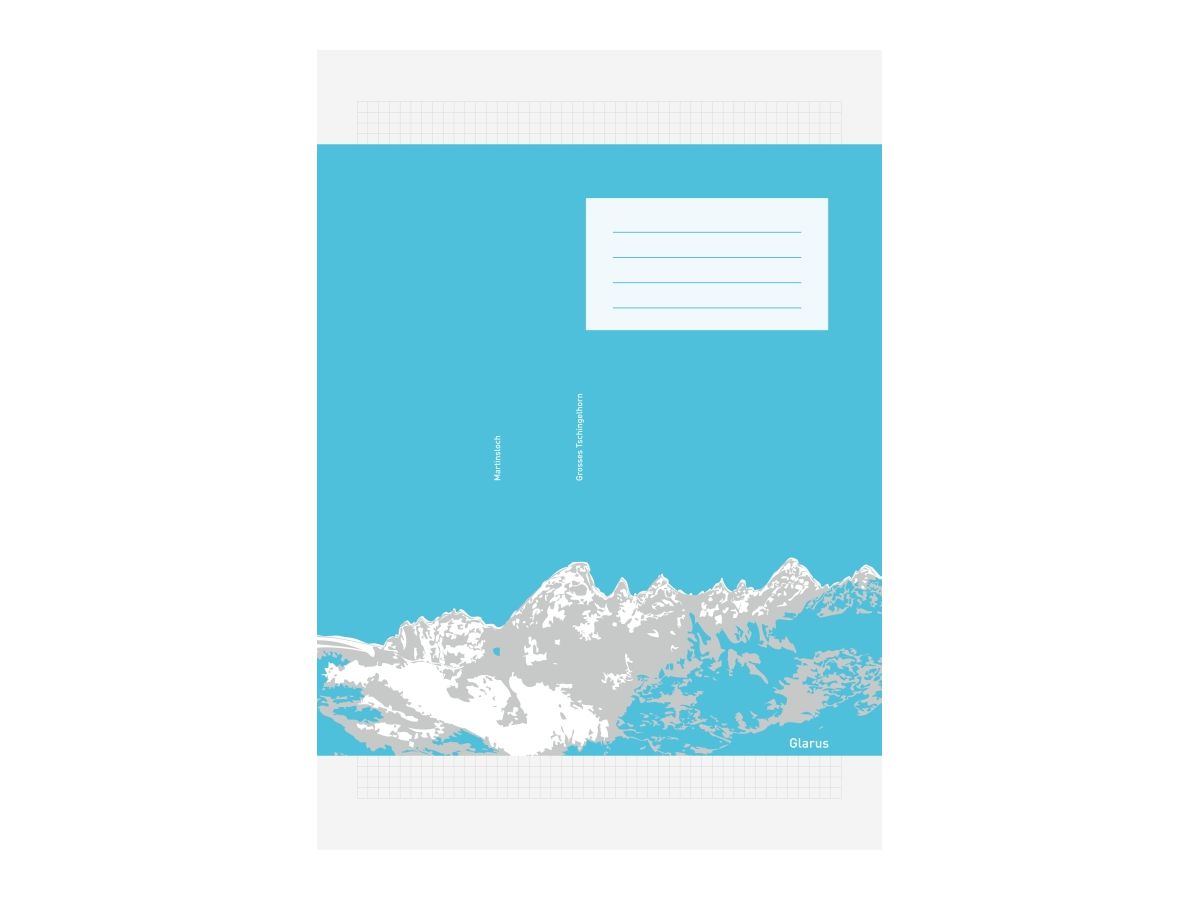 INGOLD-BIWA Quaderno UWS A4 02.9420.442 grigio 80g 4x4mm RR (7640128084921)