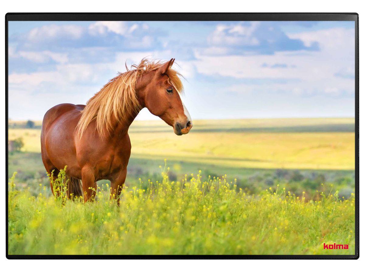 KOLMA Sous-main 35.555.20 Horse 50x34cm (7611967350478)