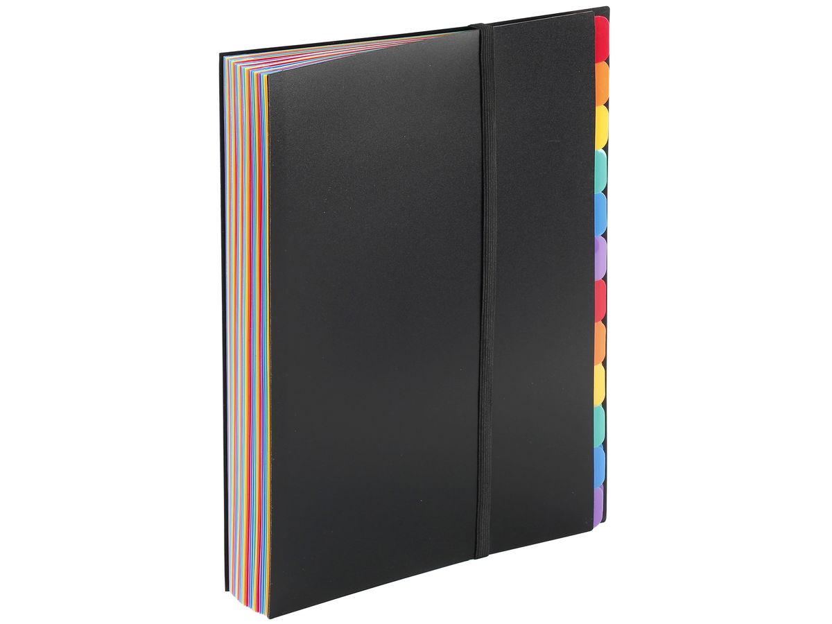 VIQUEL Organisationsmappe A4 111867 A4 36 Fächer schwarz/bunt (3135251118673)