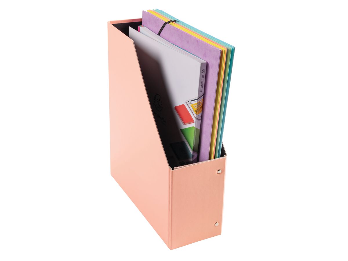 EXACOMPTA Cassetta archivio Aquarel A4+ 90560E 100mm, 2 pz., ass. (3130630905608)