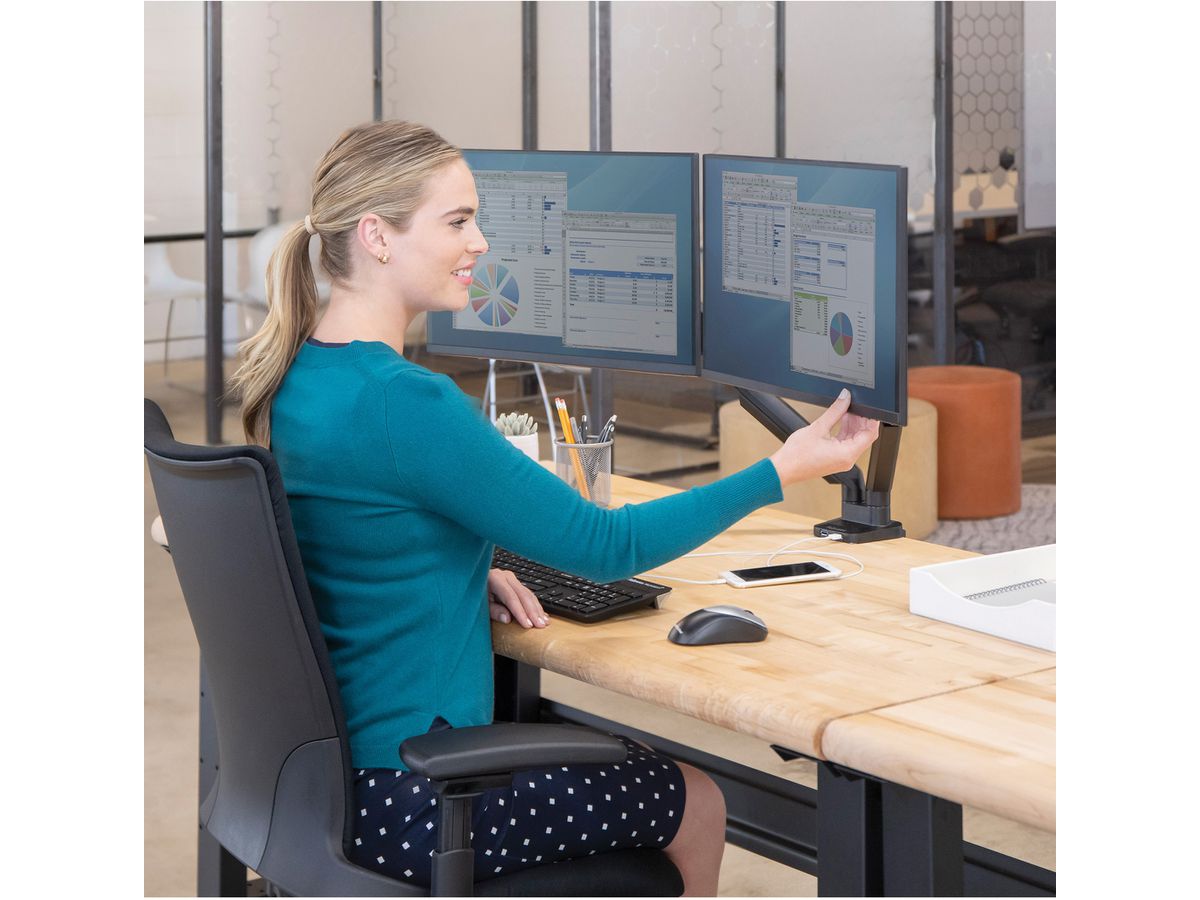 FELLOWES Monitorhalter Platinum Series 8042501 doppel, schwarz, 2xUSB (0043859716968)