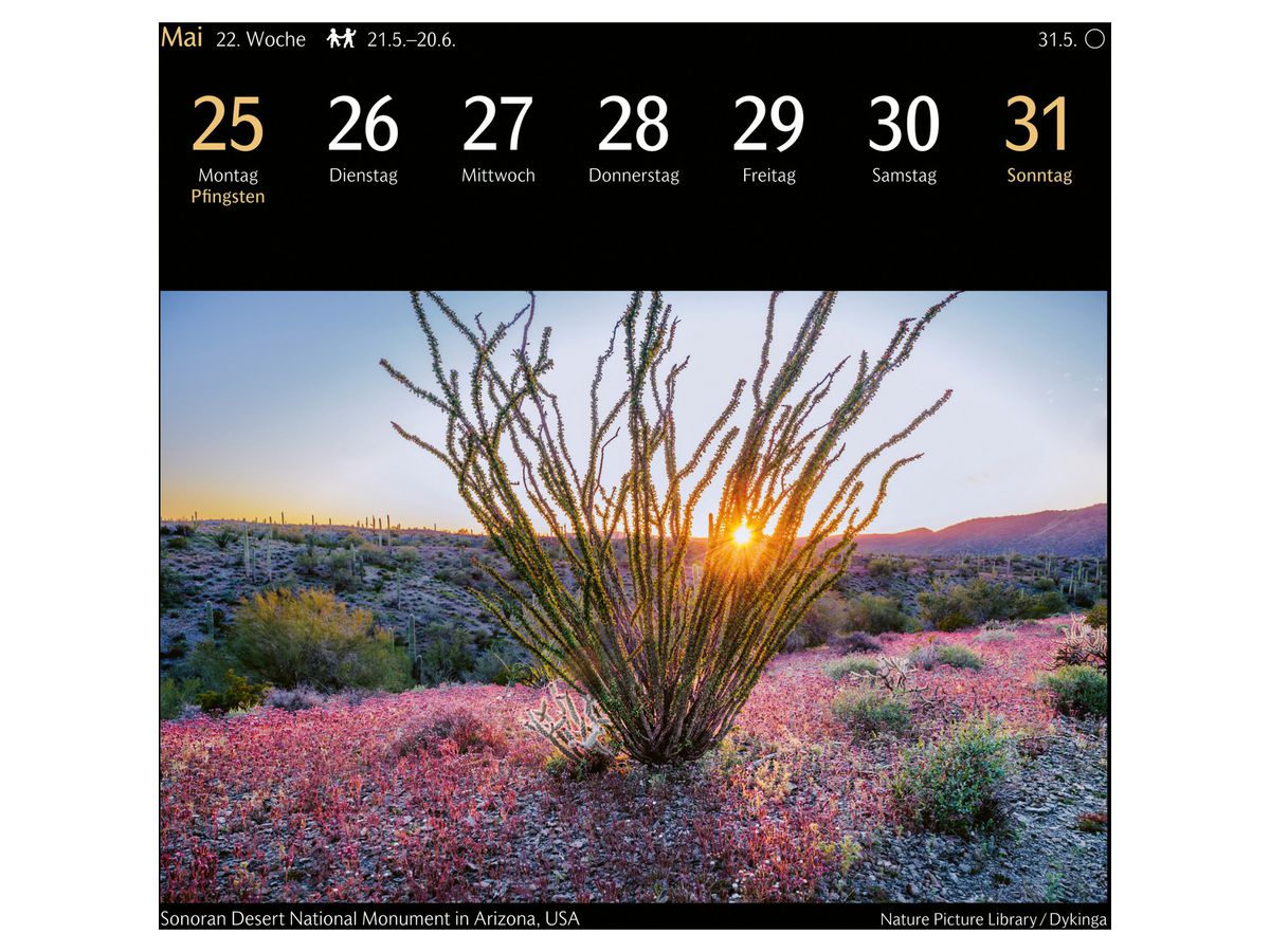 HARENBERG Calendario in cartolina 2026 3310116+26 Magic Nature DE 16x17.5cm (9783840036767)