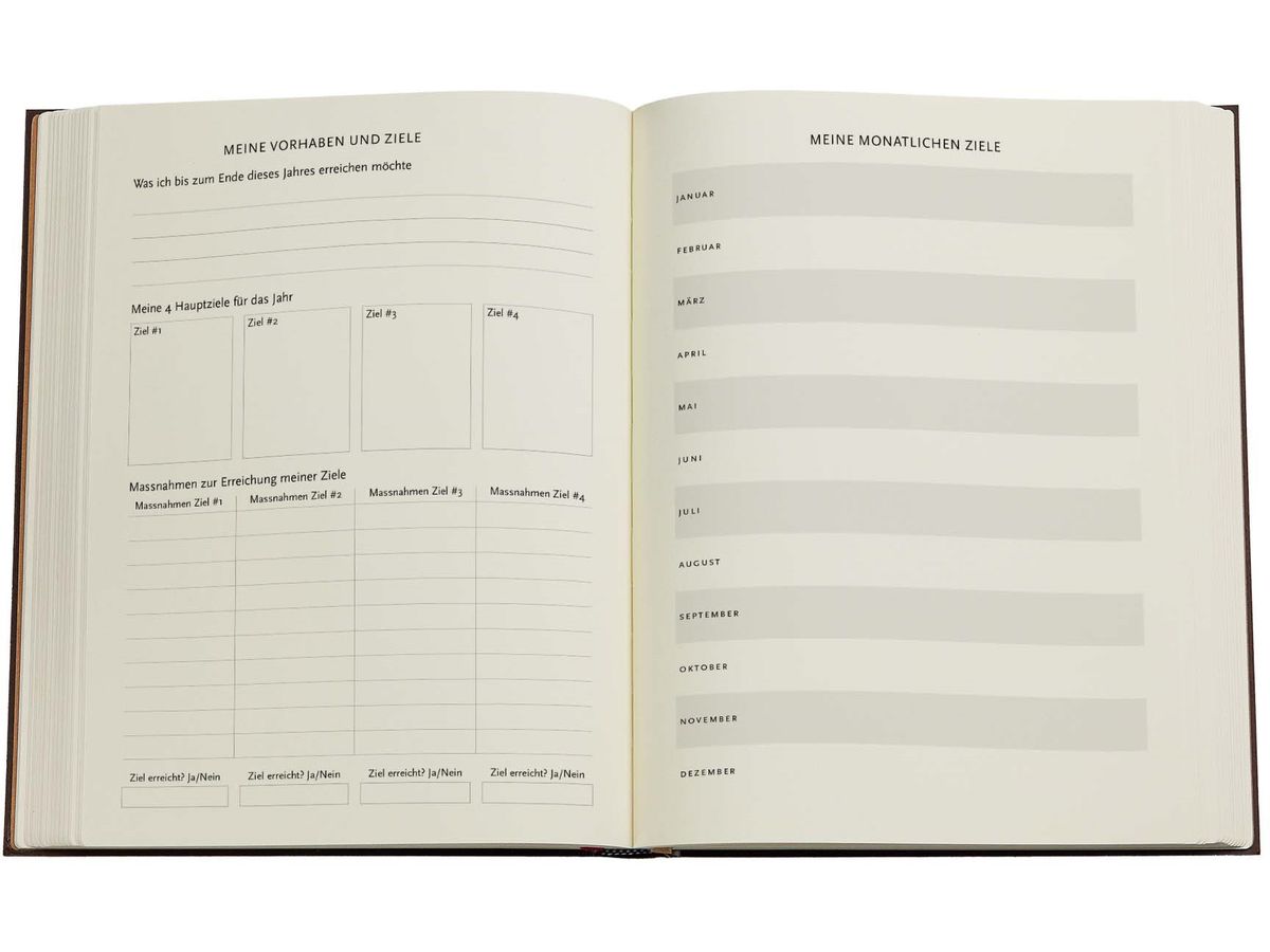 PAPERBLANKS Agenda Anemone 2026 FD0699-3 1S/2P VER Ultra SC AL 18x23cm (9780349706993)