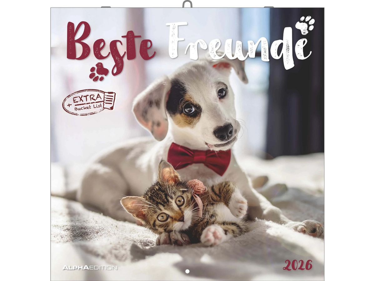 ALPHA EDITION Familienplaner 2026 160866 Beste Freunde ML 30x30cm (4069095008663)