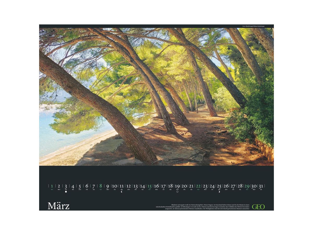 GEO Bildkalender 2026 580415 GEO Licht des Südens 50x45cm (4069095004153)