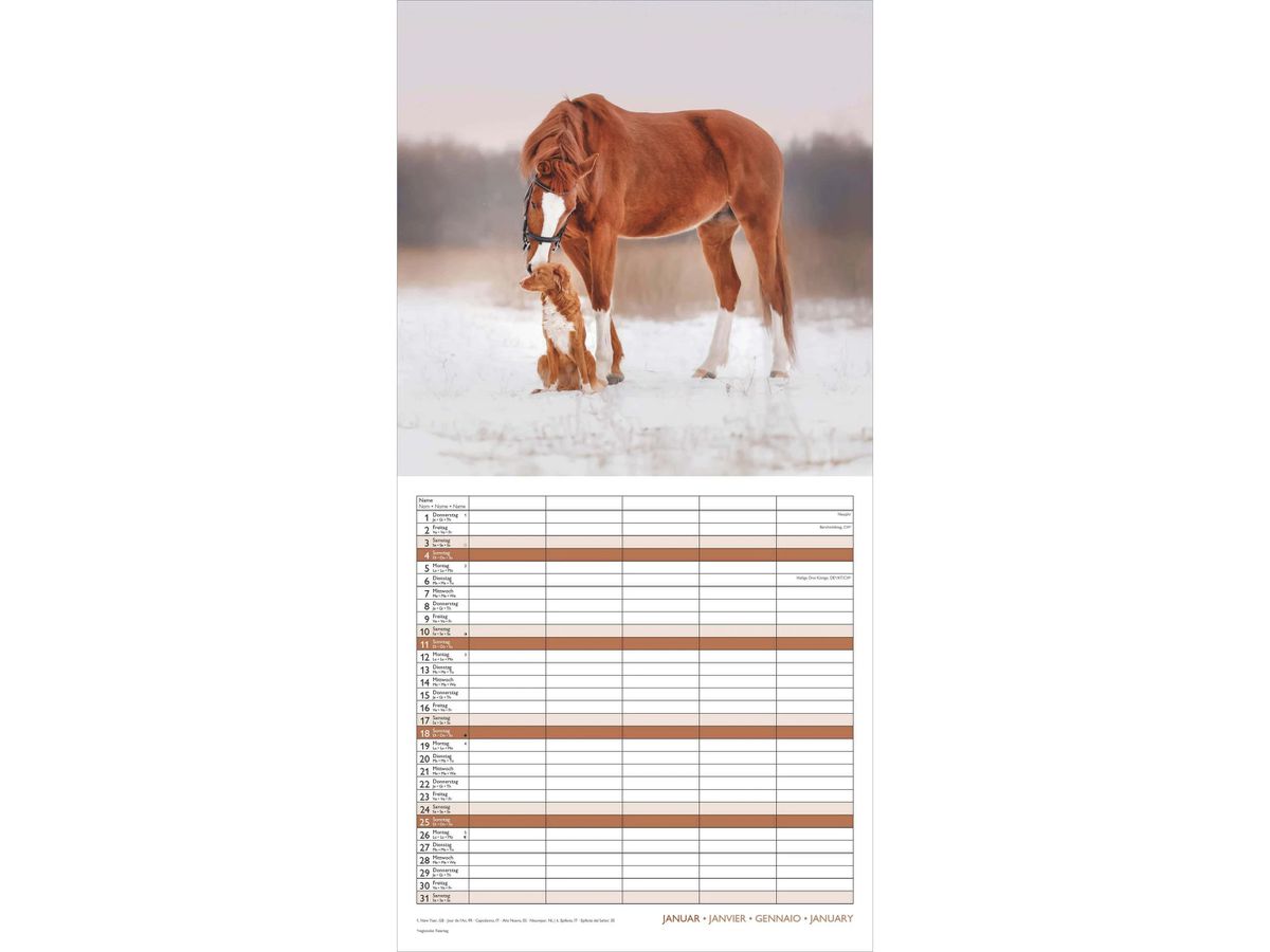 ALPHA EDITION Familienplaner 2026 160866 Beste Freunde ML 30x30cm (4069095008663)