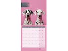 ACKERMANN Bildkalender 2026 4633 Alles wird gut ML 30x30cm (9783838446332)