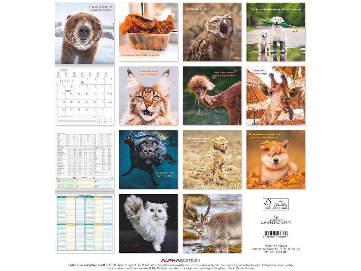 ALPHA EDITION Bildkalender 2026 160630 Funny Animals ML 30x30cm (4069095006300)