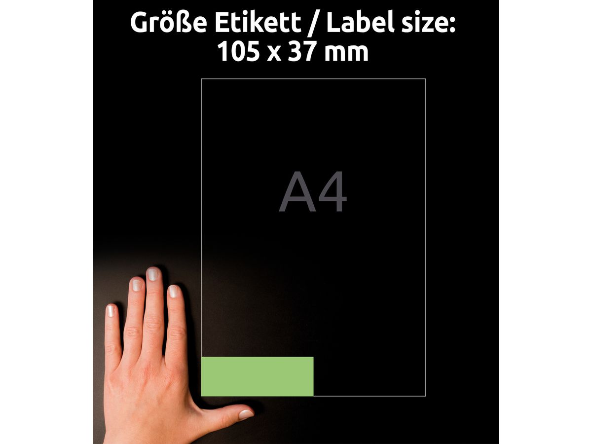 AVERY ZWECKFORM Etichette 105×37mm 3454 verde 1600 pezzi (4004182034545)