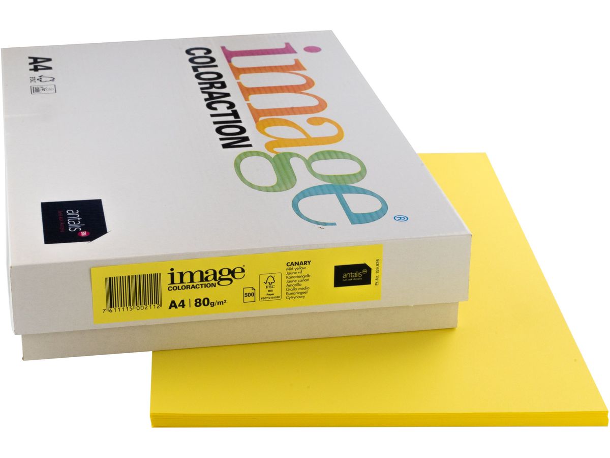 IMAGE COLORACTION Carta per copie Canary A4 274567 giallo, 80g 500 fogli (7611115002112)