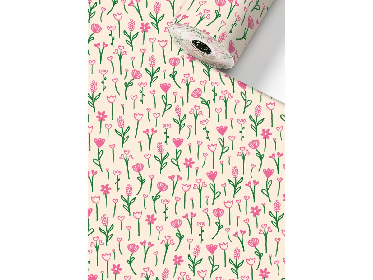 STEWO Apparecchio rotoli di carta 2522518150 Primavera 0.5x150m (7630050885369)