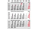 CALENDARIA Calendario parete 3 mesi 2026 9783036205526 grigio 31x40cm (9783036205526)