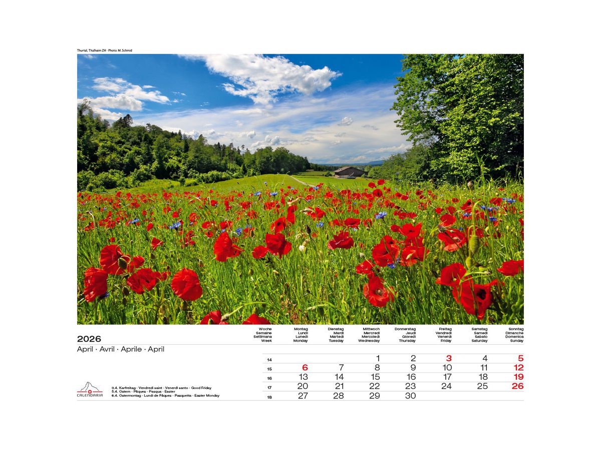 CALENDARIA Calendrier 2026 9783036205076 Schweiz-Suisse ML 40x31cm (9783036205076)
