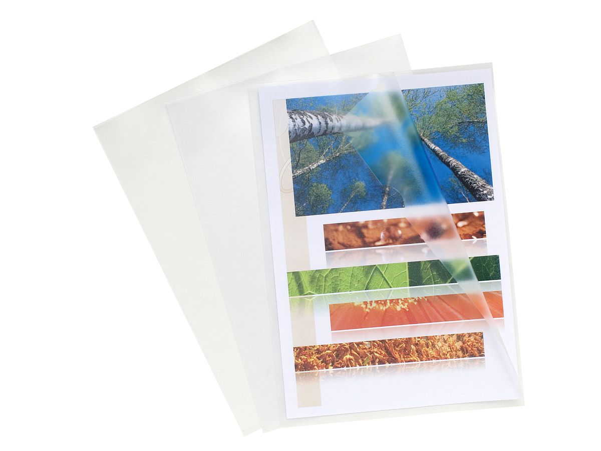 EXACOMPTA Copertura visiva Avanzato A4 56111E transparente, 120my 100 pezzi (3130630561118)