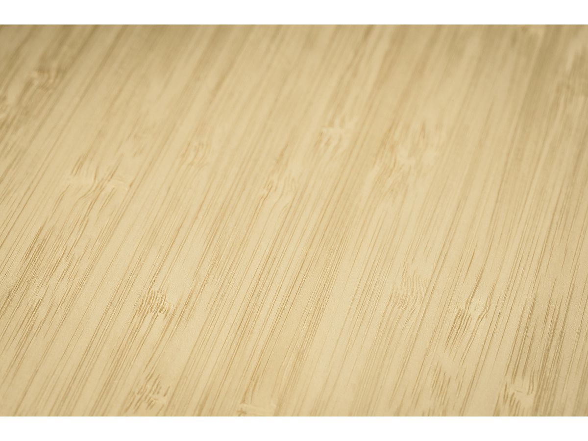 CONCEPTUM Notizbuch bamboo A5 CO671 punktkariert, 194 S., bunt (4004360798016)