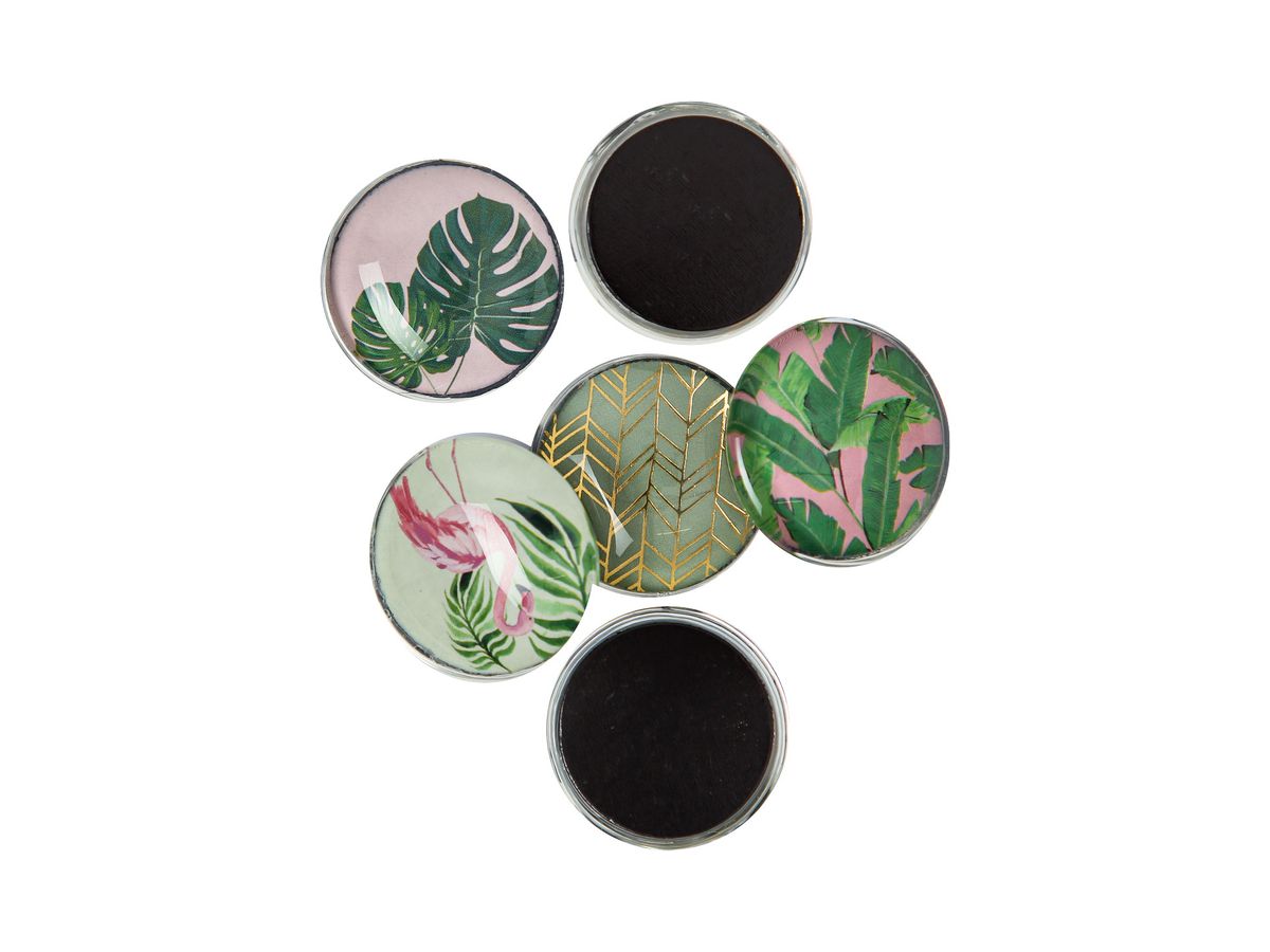 I AM CREATIVE Aimant Nature Let`s Organize 4035.61 Verre, 3x1cm 6 pièces (7611983215584)