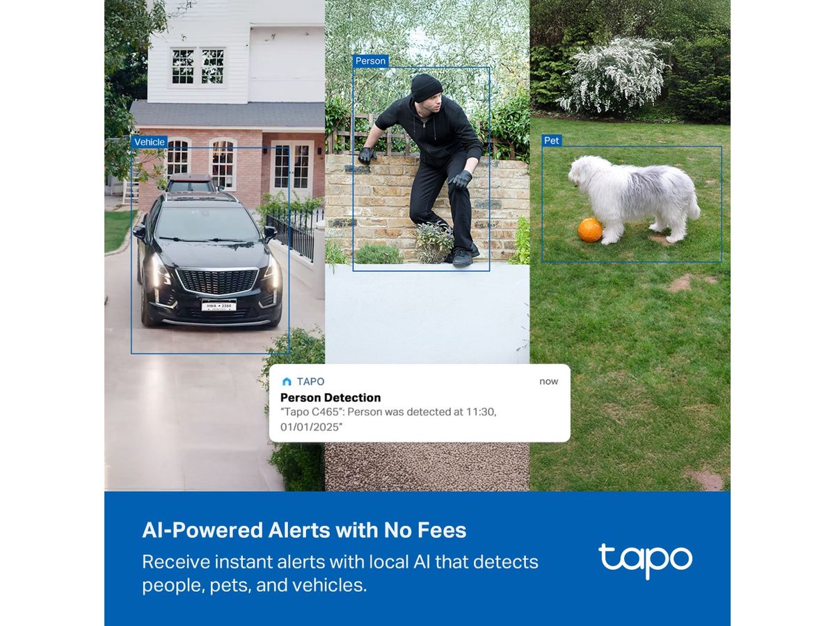 TP-LINK Enhanced AI Solar-Security Cam Tapo C465 4K (8885020629880)