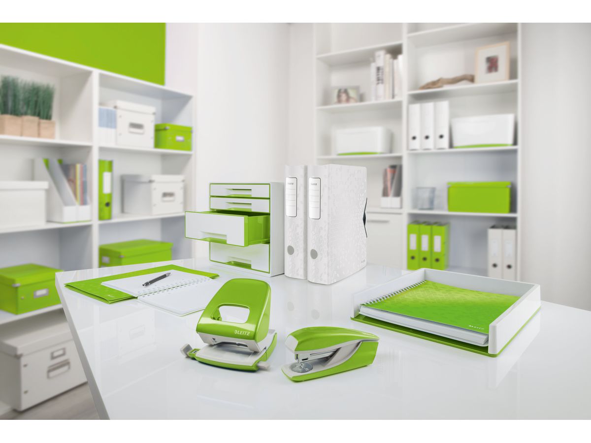 LEITZ Click & Store Boîte de class. 6047-00-54 vert (4002432123902)