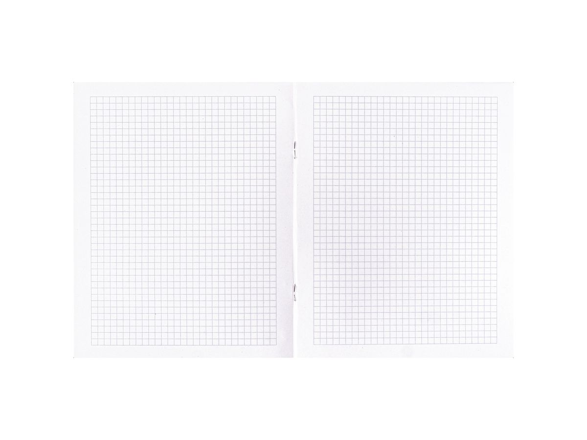 NOVOOO Quaderno E5 729763 5mm a quadretti con bordo 90g (9010729085425)