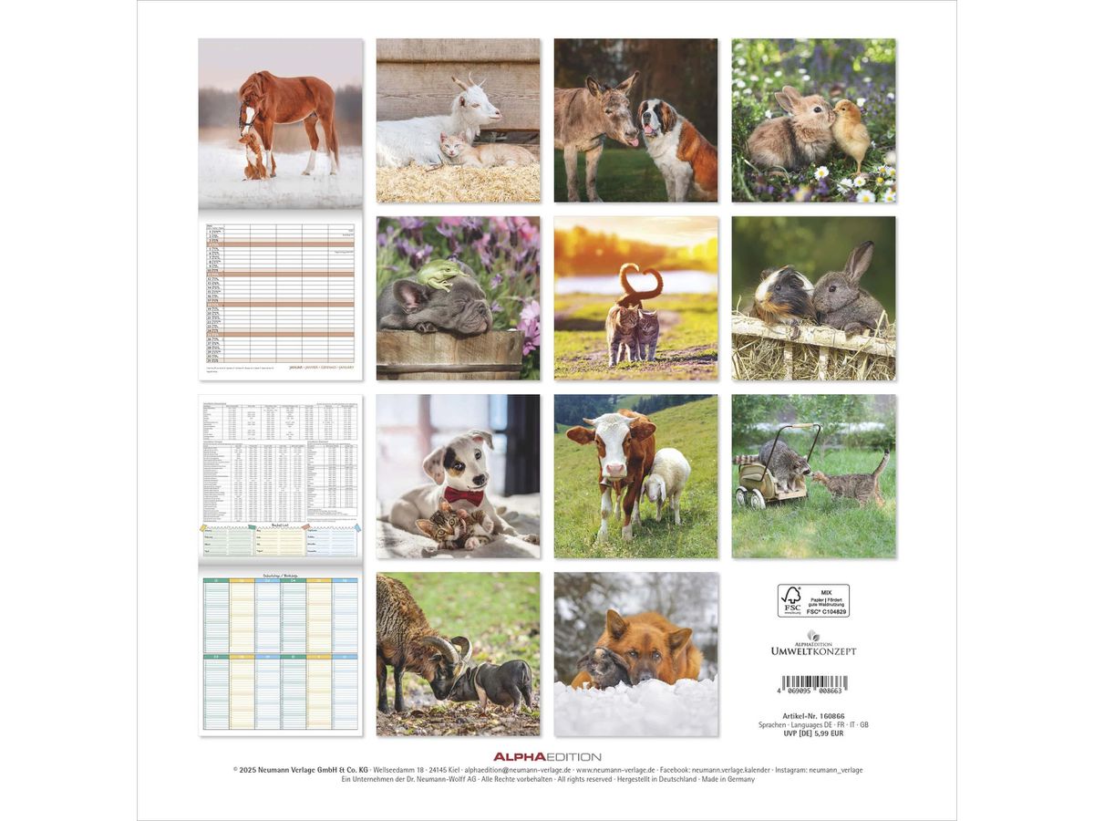 ALPHA EDITION Familienplaner 2026 160866 Beste Freunde ML 30x30cm (4069095008663)