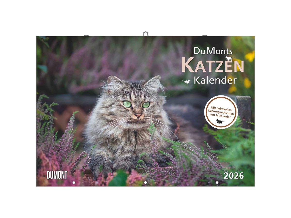DUMONT Bildkalender 2026 260621 Katzen DE 42x29cm (4069095006218)