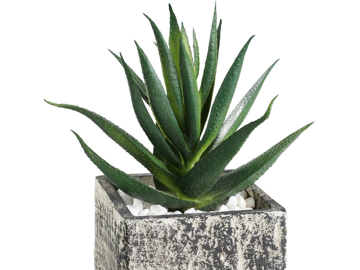 EGLO Plante artificielle 12cm 428008 vert, en pot (9008606253289)