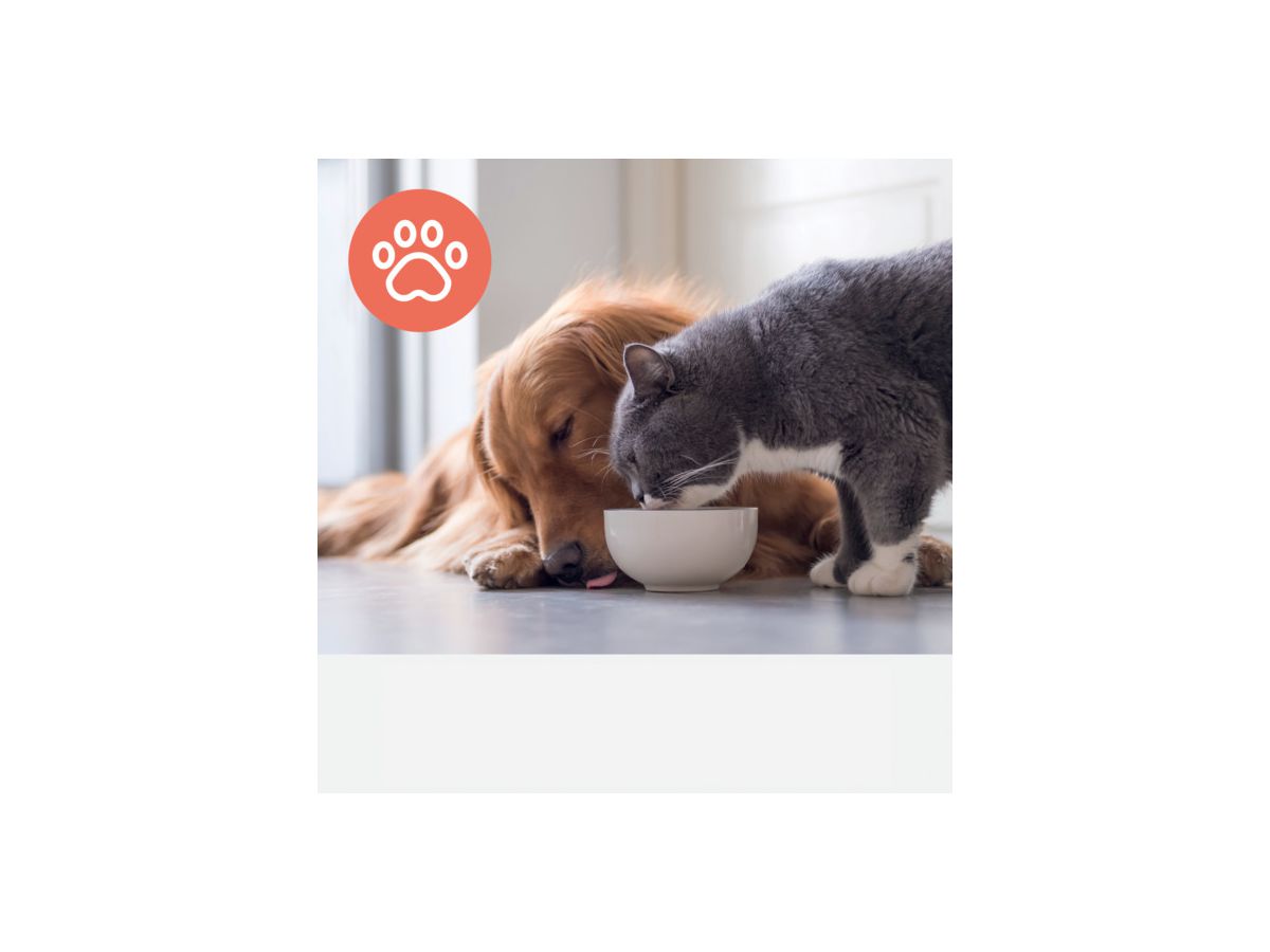 LEITZ Filtre particules TruSens 2415129 Animal, HEPA (5028252619080)