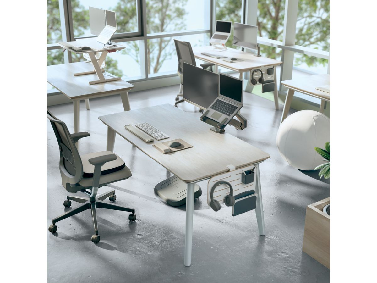 LEITZ Pegboard ERGO 42x25cm 6548-00-00 avec accessoires (4002432138449)