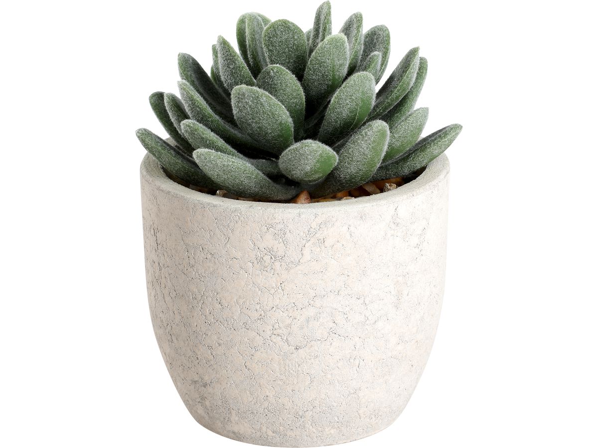 EGLO Plante artificielle 11cm 428011 vert, en pot (9008606253302)