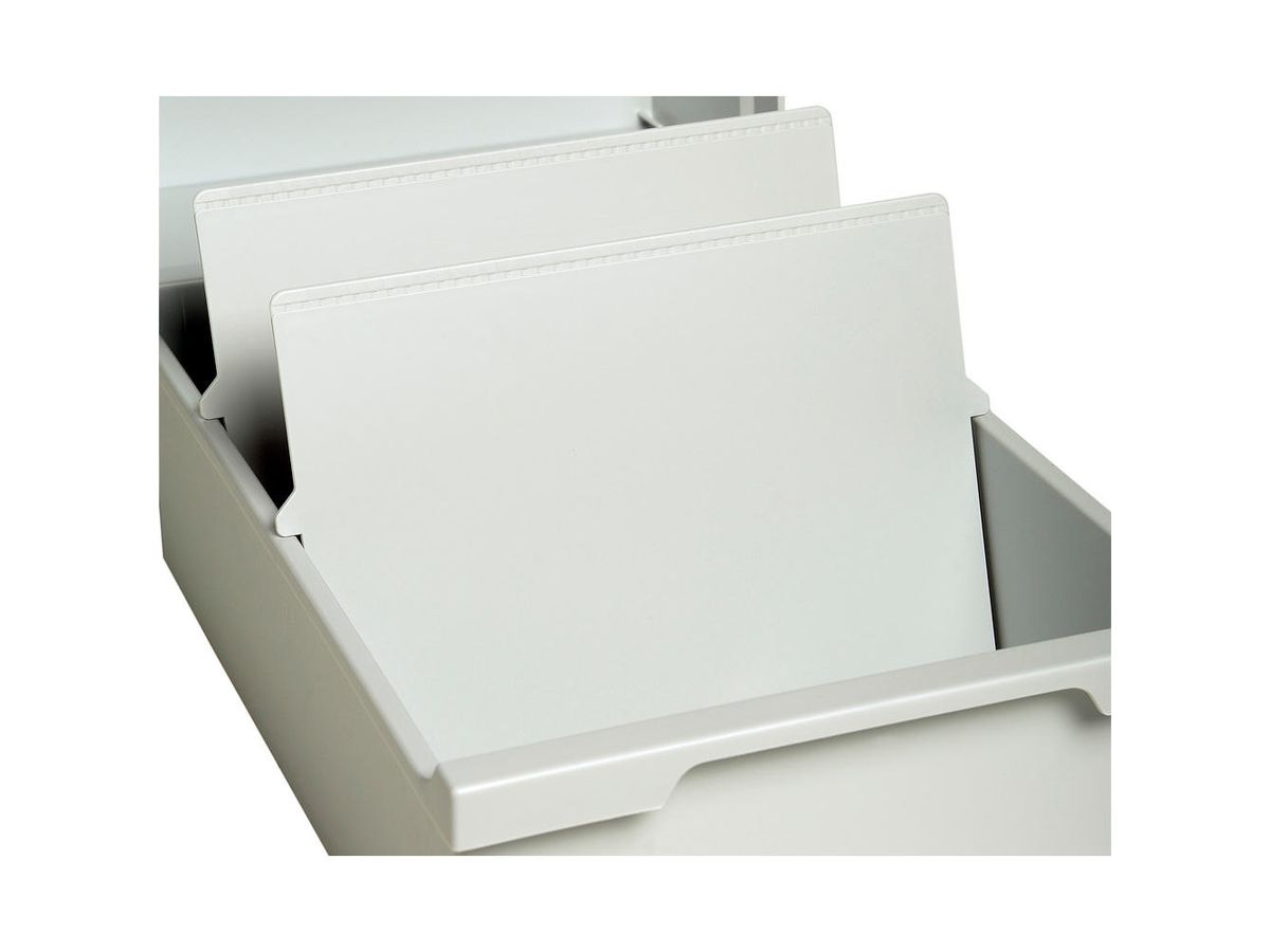 EXACOMPTA Plaques de subdivision A6 54240D 2 pcs. (9002493075207)