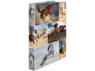 HERMA Classeur á anneaux A4 carton 19429 2D cheveaux (4008705194297)