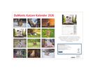 DUMONT Bildkalender 2026 260621 Katzen DE 42x29cm (4069095006218)