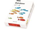 PAPYRUS Rainbow Paper FSC A3 88042281 120g, chamois 250 fogli (7318761036057)